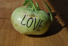 Cabbage Turnip of love
